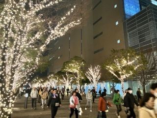 高松シンボルタワーウィンターイルミネーションの写真4