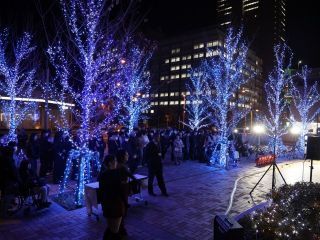 徳島文理大学イルミネーション（高松駅キャンパス）写真１