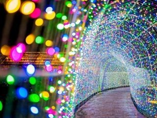 タオル美術館イルミネーションの写真3