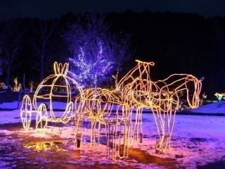 三間の中山池自然公園イルミネーション写真2