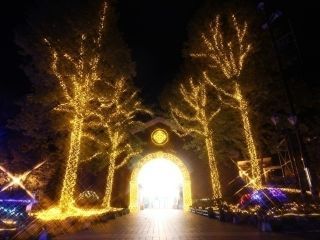 マイントピア別子イルミネーション写真１