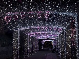 くるめ光の祭典 ほとめきファンタジーの写真３