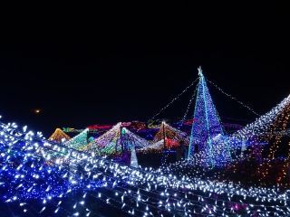 クリスマスファンタジーナイト in かのやばら園写真２