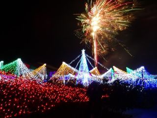 クリスマスファンタジーナイト in かのやばら園の写真３