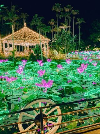 東南植物楽園「沖縄南国イルミネーション」写真２