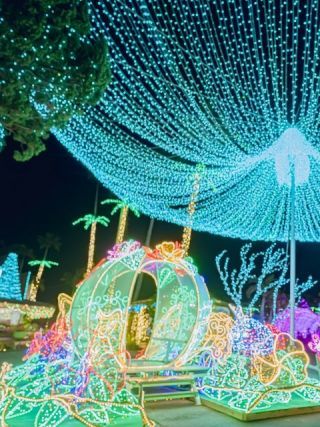 東南植物楽園「沖縄南国イルミネーション」の写真３