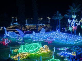 東南植物楽園「沖縄南国イルミネーション」の写真４