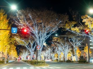 和歌山けやきライトパレード写真1
