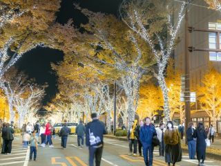 和歌山けやきライトパレードの写真3