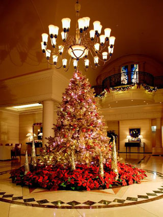 ホテルトラスティ 心斎橋 CONTEMPORARY CLASSIC XMAS写真１