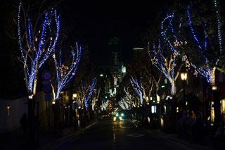 神戸北野クリスマスストリート写真１