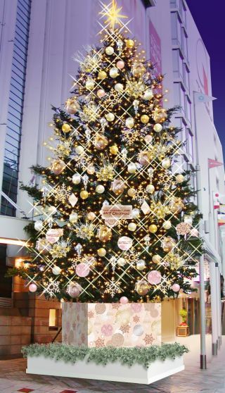 東急百貨店渋谷本店クリスマスツリー写真１
