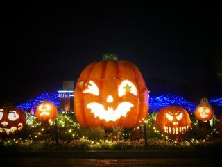 国営武蔵丘陵森林公園 森のハロウィンナイト 光り輝く森林公園～光と森のStory第1章写真１