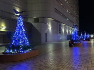 横浜駅東口はまテラス「はまテラスイルミネーション」写真１