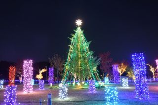 いくとぴあ食花 WINTER ILLUMINATION写真２