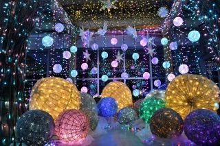 いくとぴあ食花 WINTER ILLUMINATIONの写真３