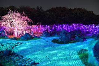 いくとぴあ食花 WINTER ILLUMINATIONの写真４