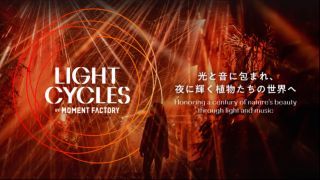 京都府立植物園 LIGHT CYCLES KYOTO写真１