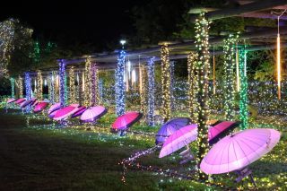 かわちイルミネーション写真２