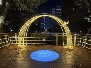 新宿中央公園イルミネーション「TWINKLE PARK」の写真４