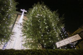 京都ノートルダム女子大学「クリスマスイルミネーション」写真１