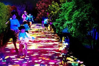 水の都“花”と“光”のフェスティバル フェスタ・ルーチェ in 松江の写真３