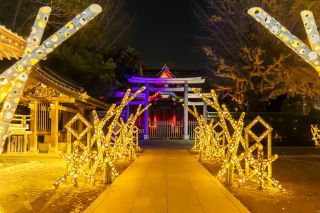 東京下町回遊 竹あかり写真１