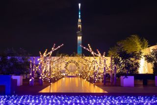 東京下町回遊 竹あかりの写真３