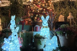 練馬区立 四季の香ローズガーデン クリスマスイルミネーションの写真４
