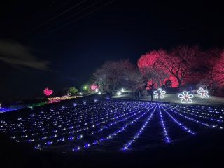 しぶかわイルミネーション写真２