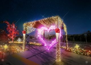 Sennan Park Light Up vol.6写真2