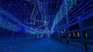 上野スカイブリッジイルミネーション写真２