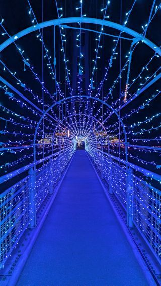 上野スカイブリッジイルミネーションの写真４