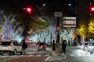 和歌山けやき大通りイルミネーション KEYAKI LIGHT PARADE by FeStA LuCeの写真４