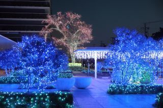 京葉銀行千葉みなと本部 イルミネーション写真２