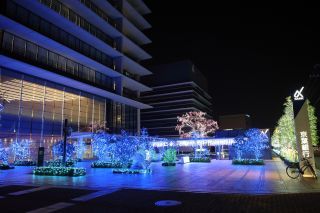 京葉銀行千葉みなと本部 イルミネーションの写真３