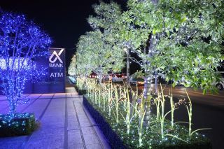 京葉銀行千葉みなと本部 イルミネーションの写真４