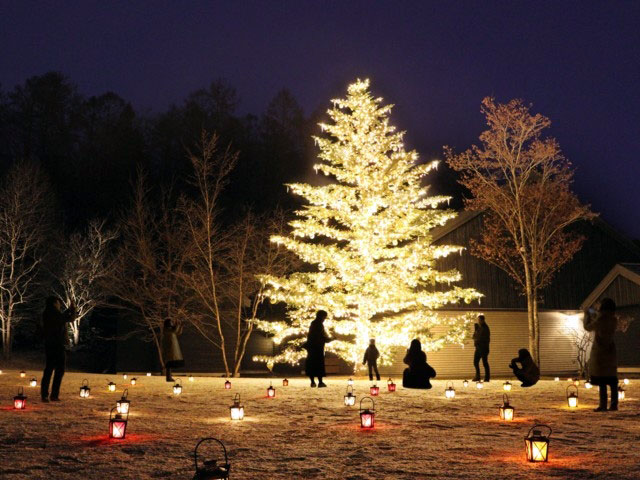 軽井沢星野エリアのクリスマス イルミネーション特集