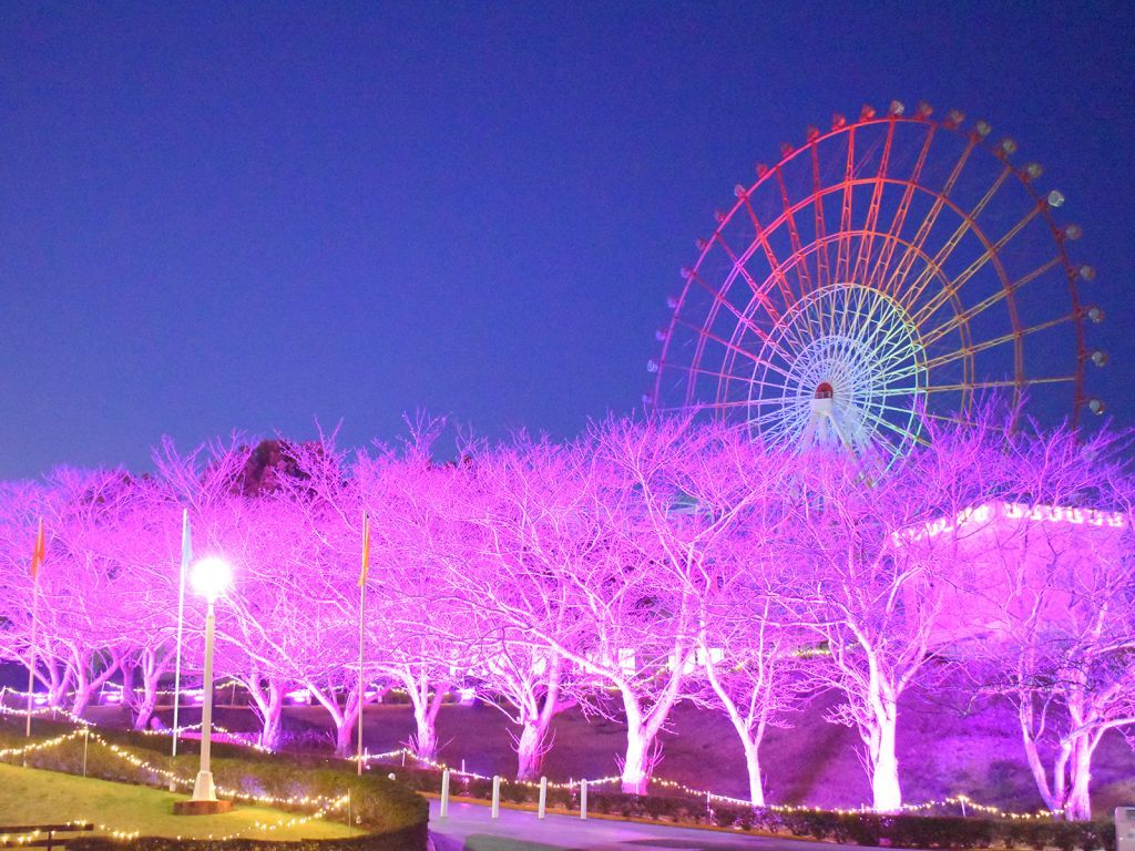 グリーンランド Wonder Illumination イルミネーション特集