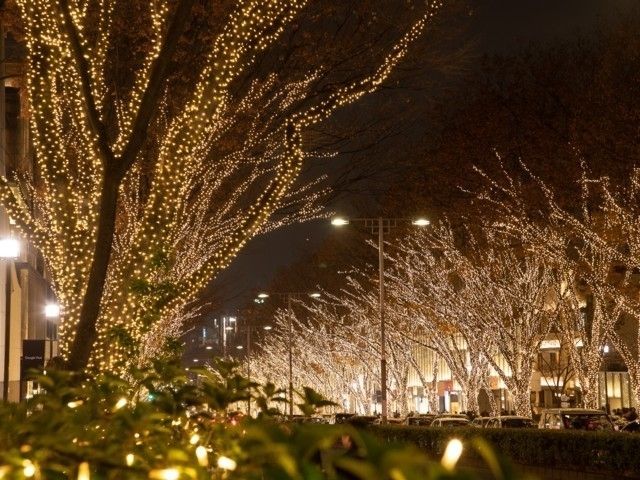 表参道イルミネーション21 イルミネーション特集