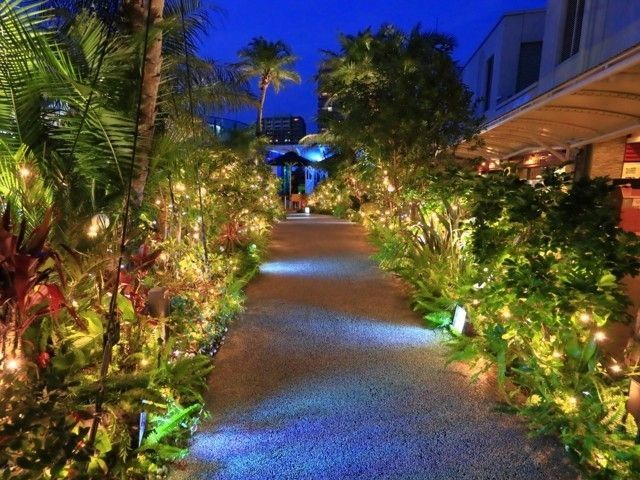 サンシャイン水族館 マリンガーデンイルミネーション イルミネーション特集