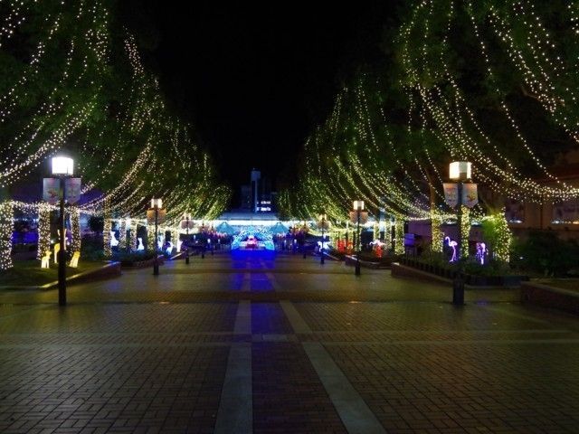 多摩センターイルミネーション21 イルミネーション特集