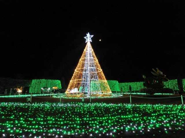 国営讃岐まんのう公園 ウィンターファンタジー イルミネーション特集