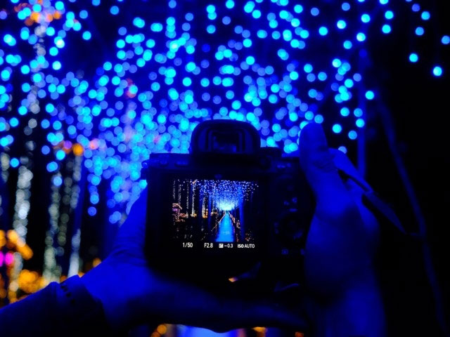 東南植物楽園 沖縄南国イルミネーション21 22 イルミネーション特集