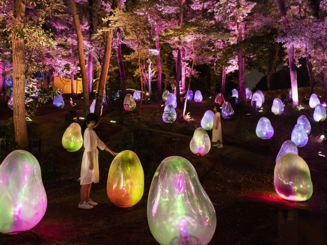 チームラボ どんぐりの森の呼応する生命 イルミネーション特集