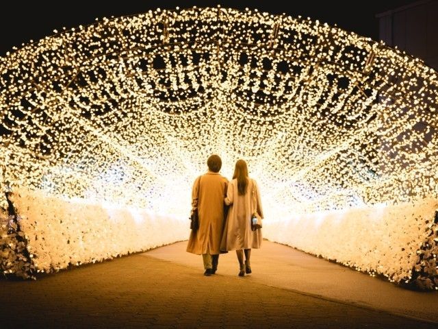 東京メガイルミ2022-2023～大井競馬場イルミネーション～｜イルミネーション特集