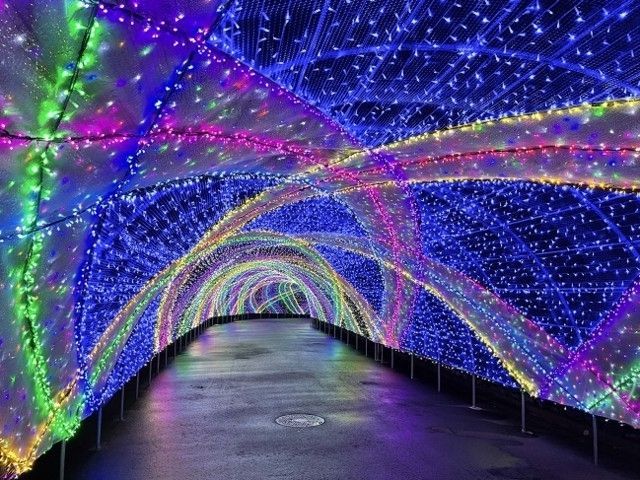 よみうりランド ジュエルミネーション 2022 LIGHT IS HAPPINESS！｜イルミネーション特集