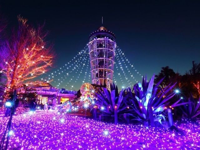 湘南の宝石