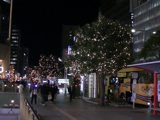 名駅通 イルミネーション