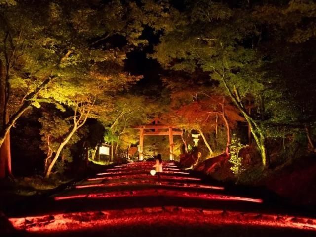 HIEIZAN ENRYAKUJI Exclusive Sutra Offering 比叡山 延暦寺 写経奉納特別ツアー